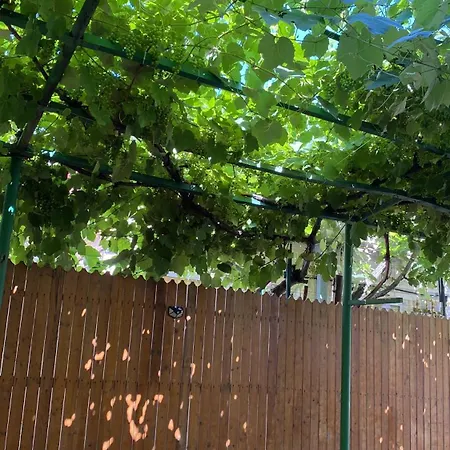 Marsali Alloggio in famiglia Constanţa