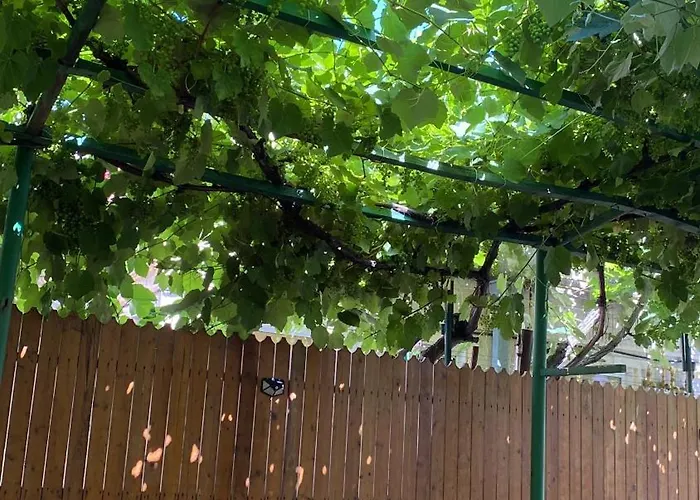 Marsali Homestay Constanta